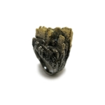 BLACK AND GOLD CITY COM SEGREDO - ANEL